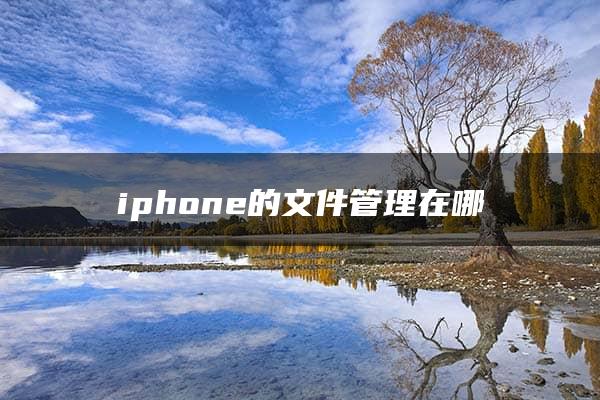 iphone的文件管理在哪