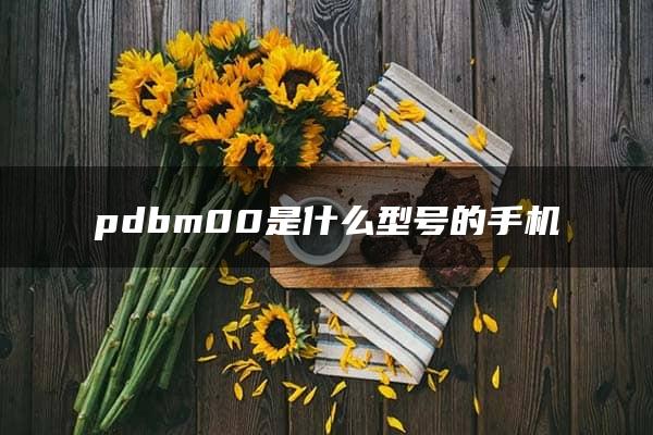 pdbm00是什么型号的手机