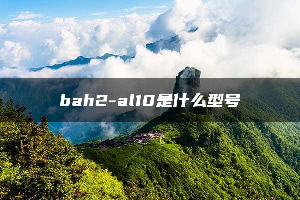 bah2-al10是什么型号