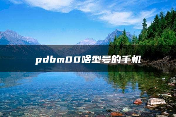 pdbm00啥型号的手机