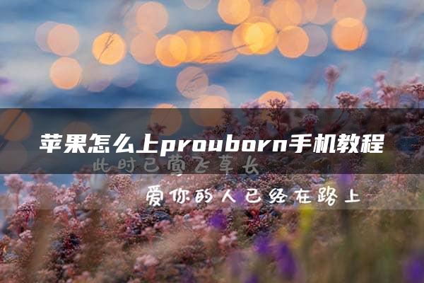 苹果怎么上prouborn手机教程