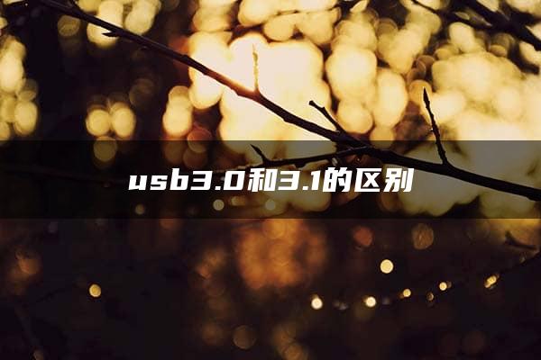 usb3.0和3.1的区别