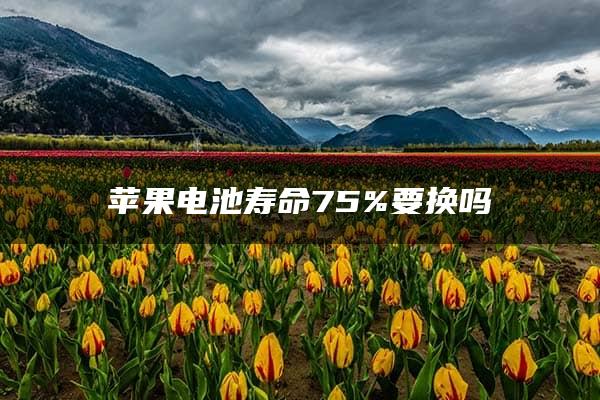 苹果电池寿命75%要换吗