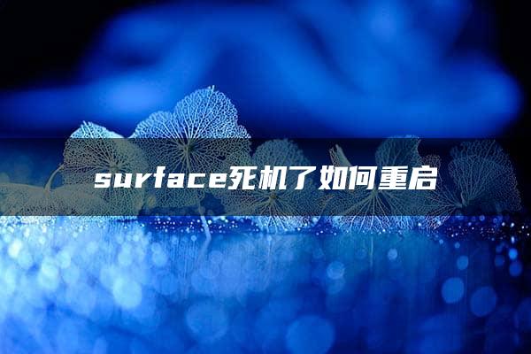 surface死机了如何重启