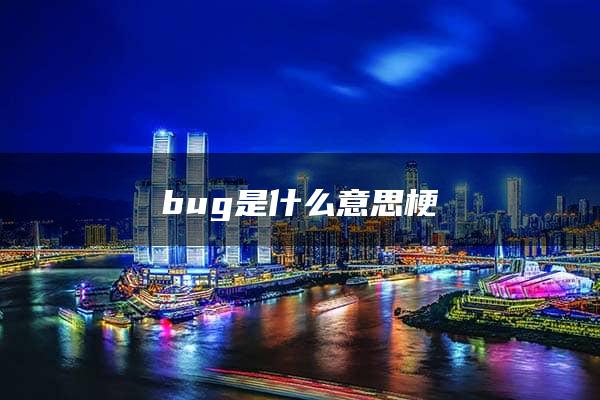 bug是什么意思梗