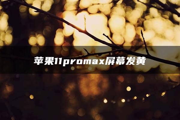 苹果11promax屏幕发黄