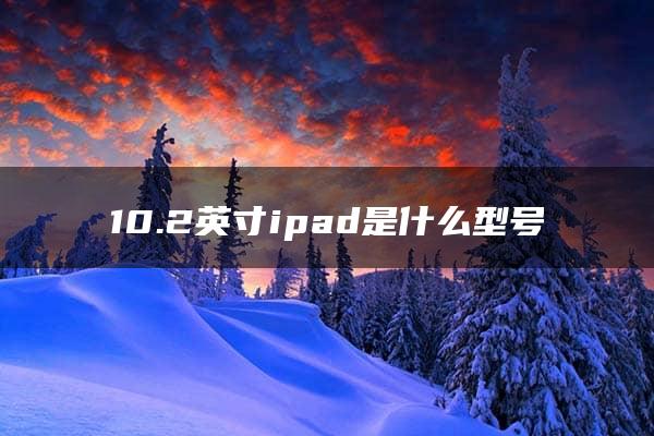 10.2英寸ipad是什么型号