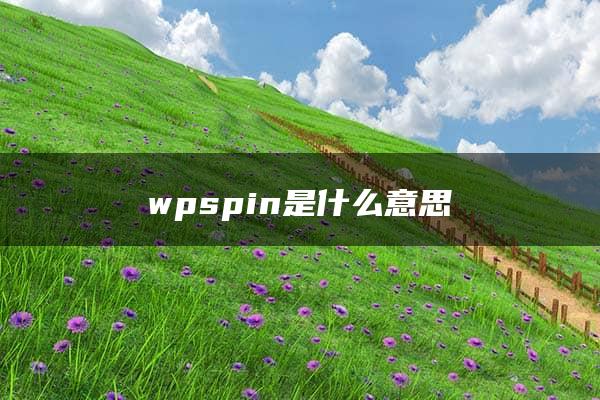 wpspin是什么意思