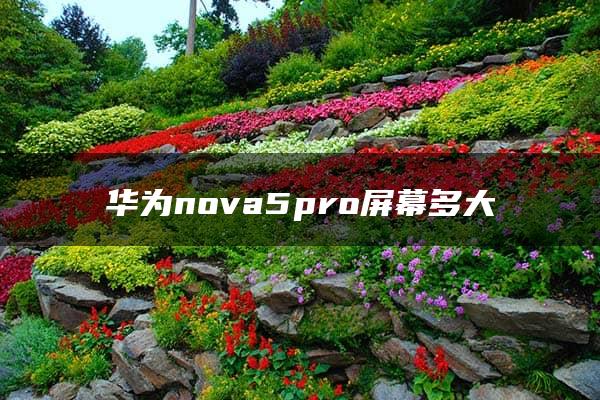 华为nova5pro屏幕多大