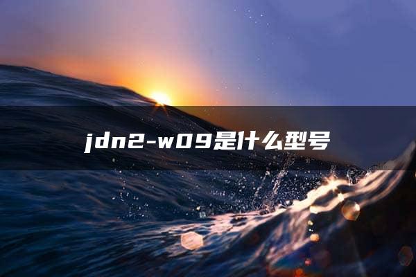 jdn2-w09是什么型号