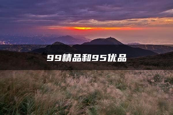 99精品和95优品