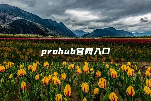 prohub官网入口