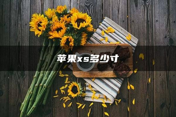 苹果xs多少寸