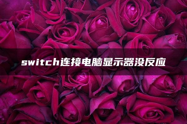 switch连接电脑显示器没反应