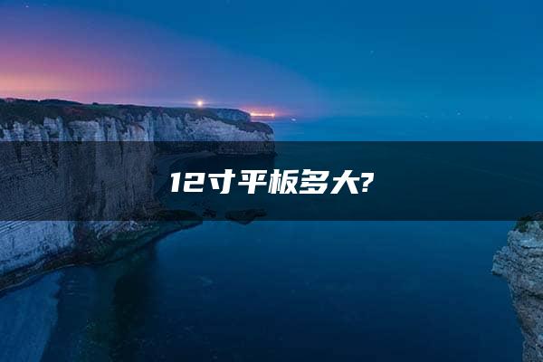 12寸平板多大?