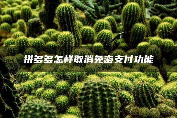 拼多多怎样取消免密支付功能