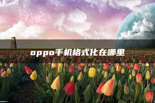 oppo手机格式化在哪里