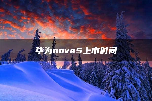 华为nova5上市时间