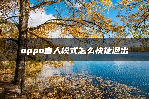 oppo盲人模式怎么快捷退出