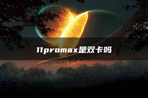 11promax是双卡吗