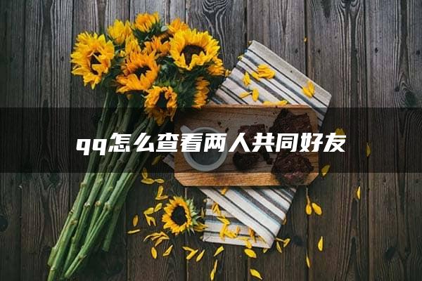 qq怎么查看两人共同好友