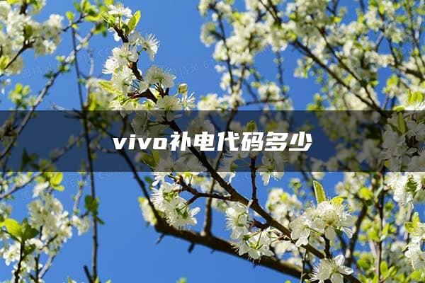 vivo补电代码多少