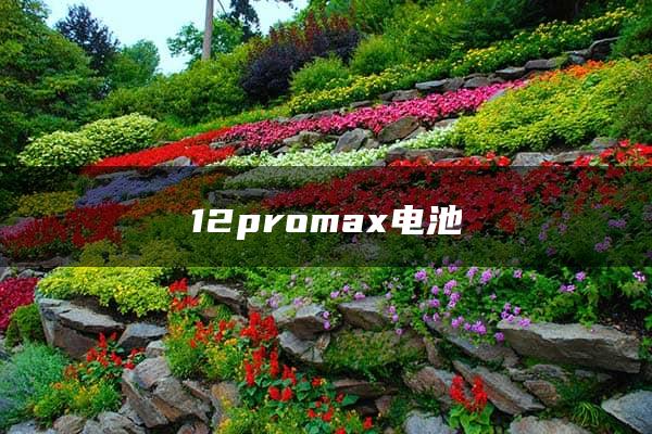 12promax电池