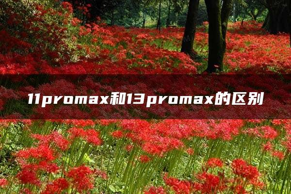 11promax和13promax的区别