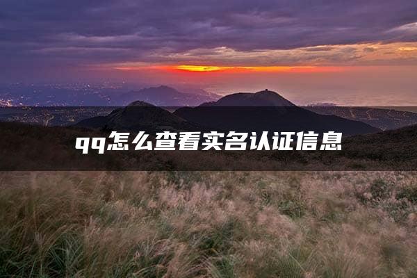 qq怎么查看实名认证信息