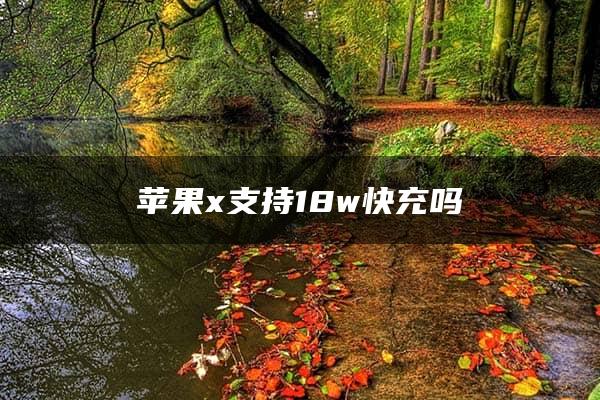 苹果x支持18w快充吗