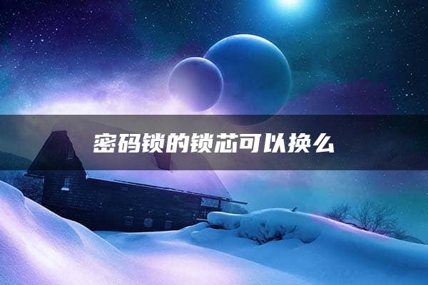 密码锁的锁芯可以换么