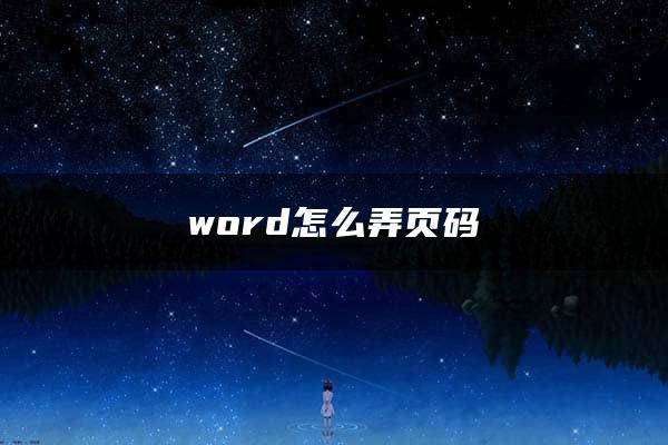 word怎么弄页码