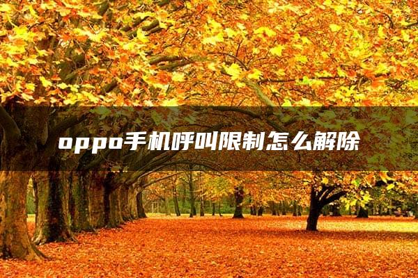 oppo手机呼叫限制怎么解除