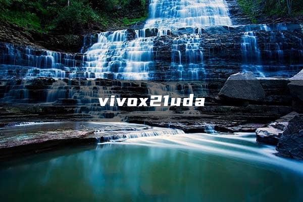 vivox21uda