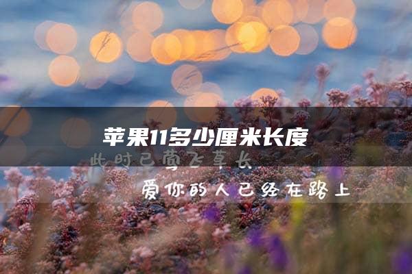 苹果11多少厘米长度