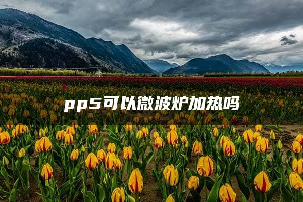 pp5可以微波炉加热吗