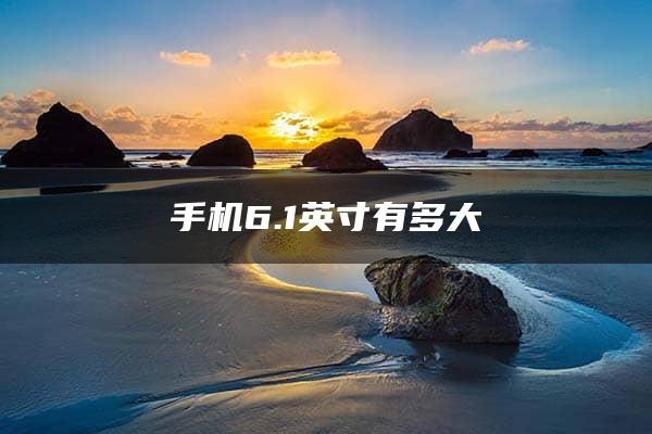 手机6.1英寸有多大