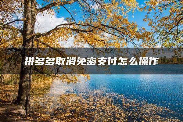 拼多多取消免密支付怎么操作