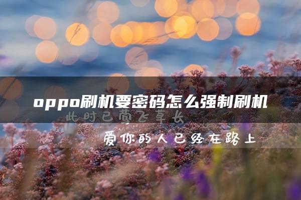 oppo刷机要密码怎么强制刷机