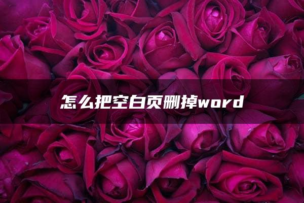 怎么把空白页删掉word