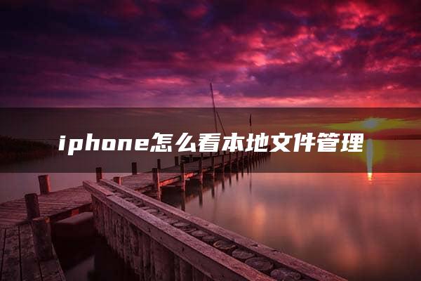 iphone怎么看本地文件管理