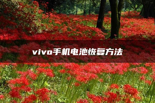 vivo手机电池恢复方法