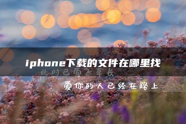 iphone下载的文件在哪里找