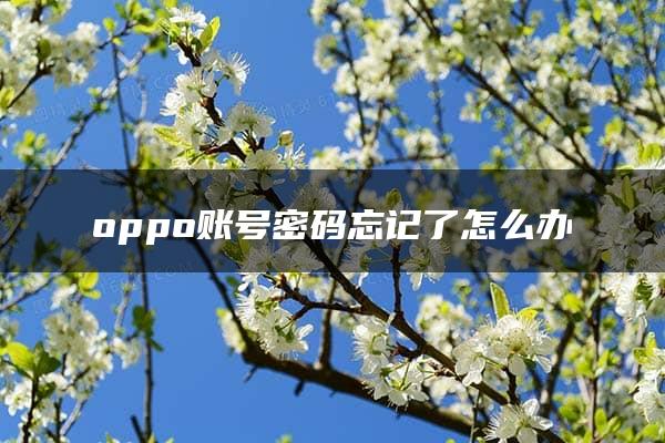 oppo账号密码忘记了怎么办