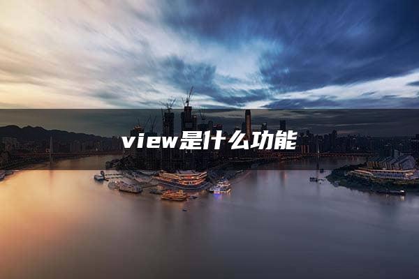 view是什么功能