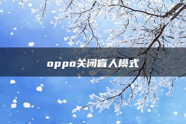 oppo关闭盲人模式