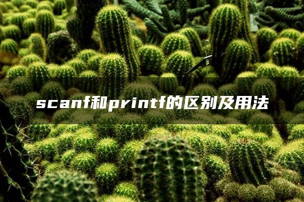 scanf和printf的区别及用法