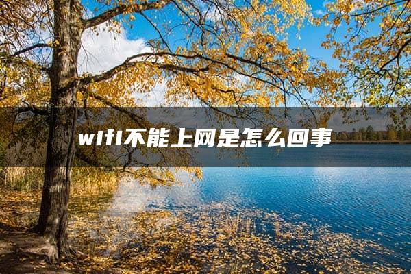 wifi不能上网是怎么回事