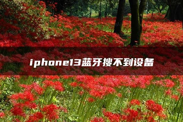 iphone13蓝牙搜不到设备