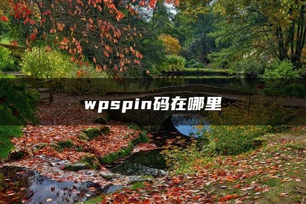 wpspin码在哪里